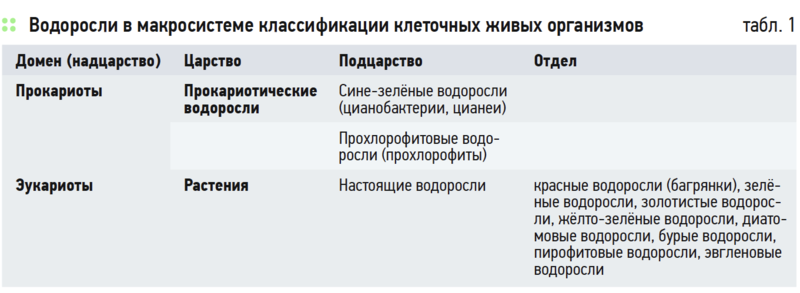 Водоросли как пища и как топливо