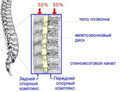 ГИГИЕНА ОСАНКИ: Воспитание и Коррекция