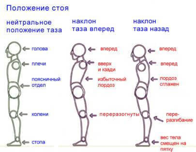 ГИГИЕНА ОСАНКИ: Воспитание и Коррекция