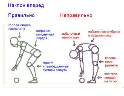 ГИГИЕНА ОСАНКИ: Воспитание и Коррекция