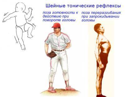 ГИГИЕНА ОСАНКИ: Воспитание и Коррекция