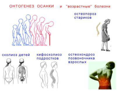 ГИГИЕНА ОСАНКИ: Воспитание и Коррекция