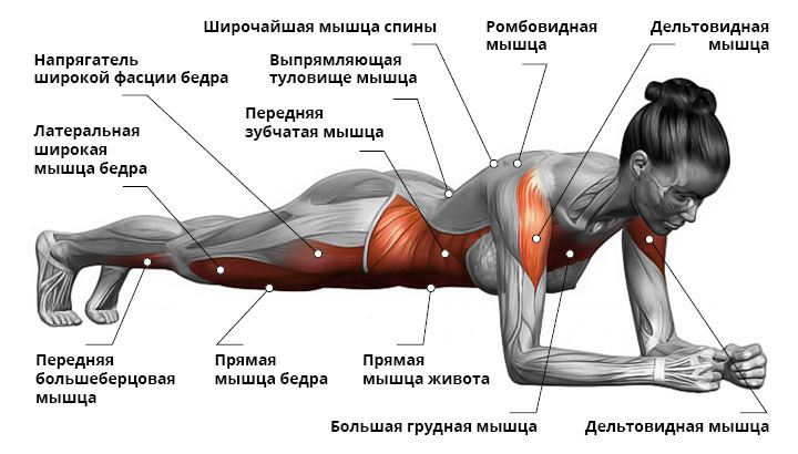 Усложненные варианты упражнения "планка"