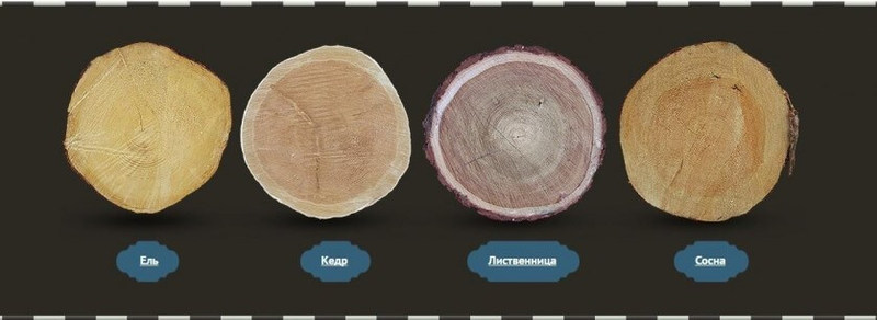 Виды древесины и их применение в строительстве дома