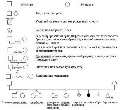 Генограмма: законы, по которым живет и развивается ваш РОД