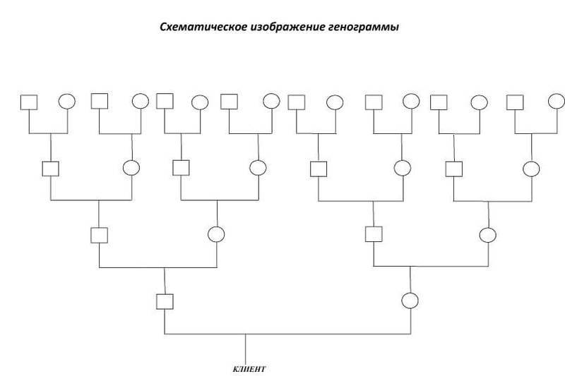 Генограмма: законы, по которым живет и развивается ваш РОД