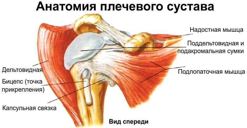 СУПЕР упражнения для плеч