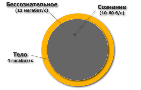 Теория бессознательного мышления: как мы принимаем решения