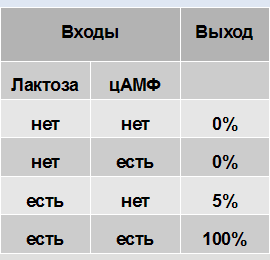 Внутриклеточная автоматика из ДНК и белков