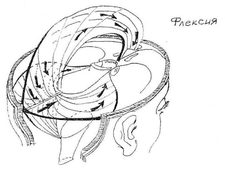 Серп мозга и 2 модели его движений в краниосакральном ритме по 3 осям
