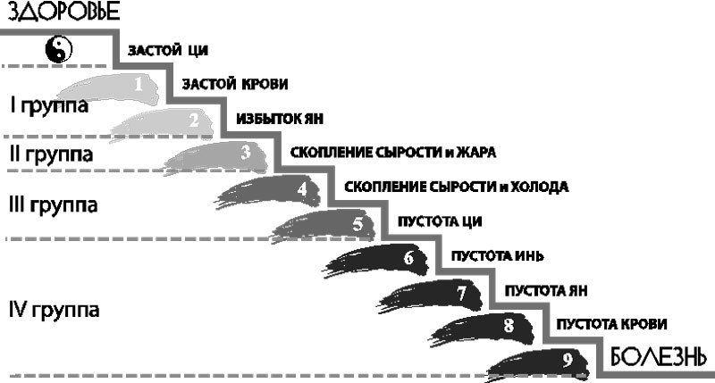  9 конституциональных типов: оценка уровня здоровья человека