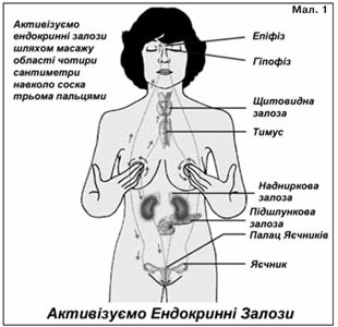 СУПЕР упражнение для гормональной системы