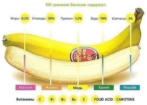 18 интересных  фактов о бананах