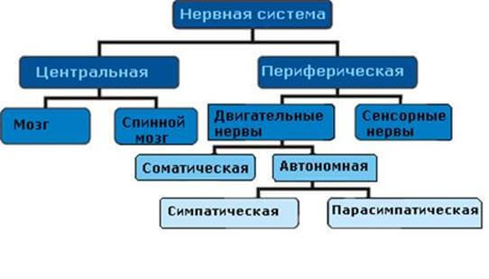 Как ваше тело формирует судьбу