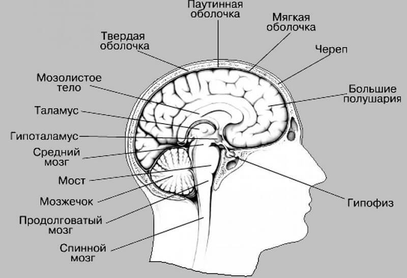 Как ваше тело формирует судьбу