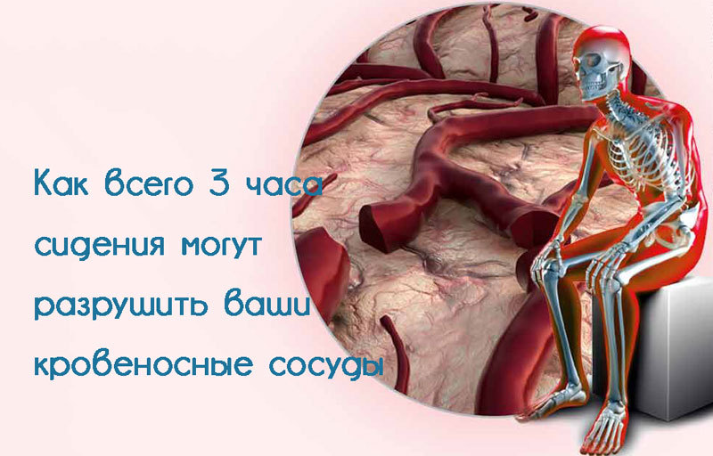 Как всего 3 часа сидения могут разрушить ваши кровеносные сосуды