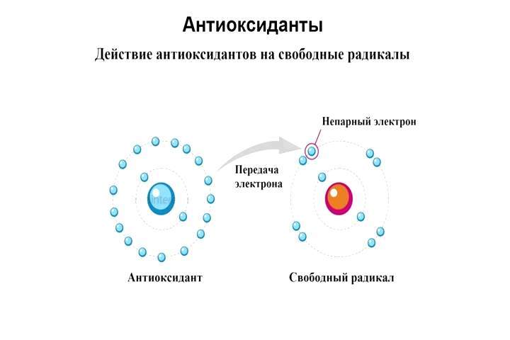 Омолаживающая диета — терапия от старости