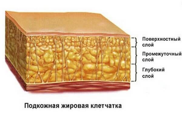 Целлюлит как самый великий всемирный обман