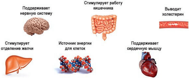 Магний: Невидимый дефицит, который может сердцу, мышцам и почкам