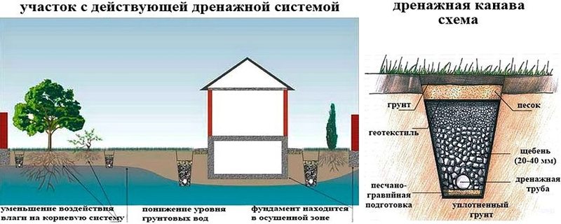 Правильное устройство дренажной системы