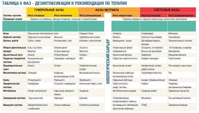 Х.Х.Реккевег: 6 ФАЗ появления любой болезни