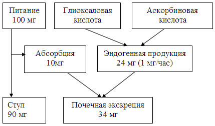 Внимание! Щавелевая кислота и оксалаты в продуктах питания и в вашем теле