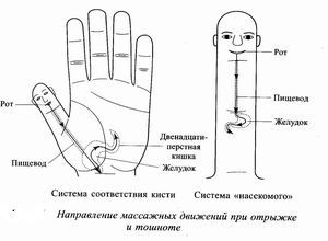 Су-джок-терапия: лечебные точки при несварении желудка