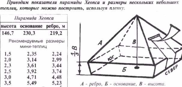 Теплица пирамида: особое энергетическое поле и небывалый урожай!