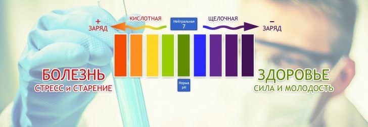 7 превосходных сочетаний щелочных продуктов