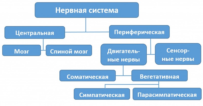 Как блоки в теле влияют на вашу жизнь и судьбу