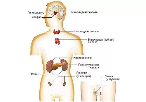 Как блоки в теле влияют на вашу жизнь и судьбу