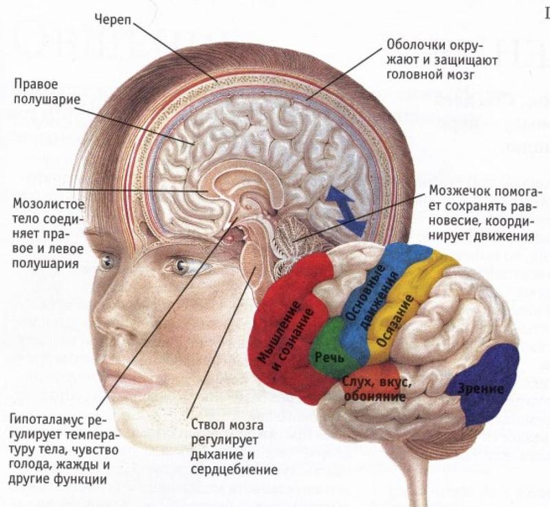 Как блоки в теле влияют на вашу жизнь и судьбу