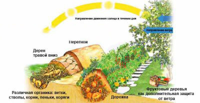 Эти грядки увеличат урожай в несколько раз!