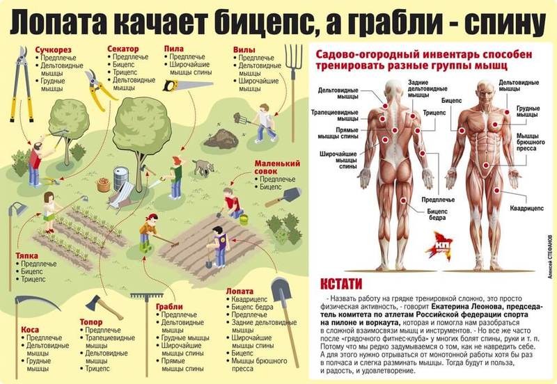 Дачный сезон: Упражнения на грядках 