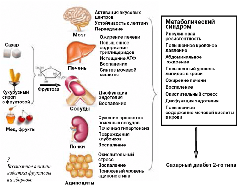 ОСТОРОЖНО! Фруктоза: ожирение и другие неприятности 