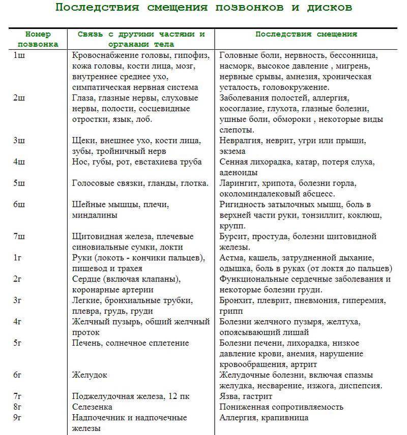 На работу каких органов влияет позвоночник