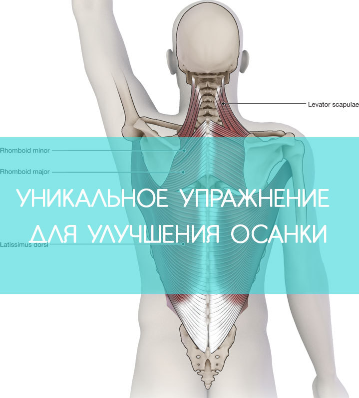 Самое уникальное упражнение для улучшения осанки