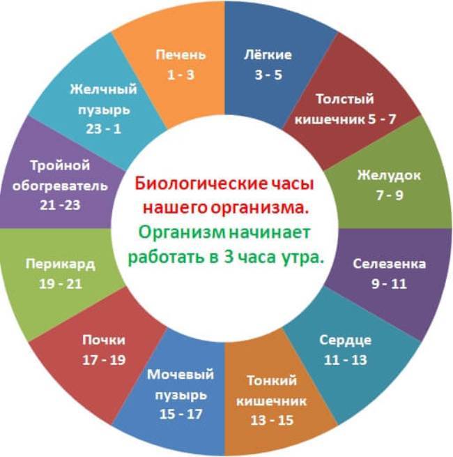 Стакан воды в часы «Ю-ши» для здоровья почек