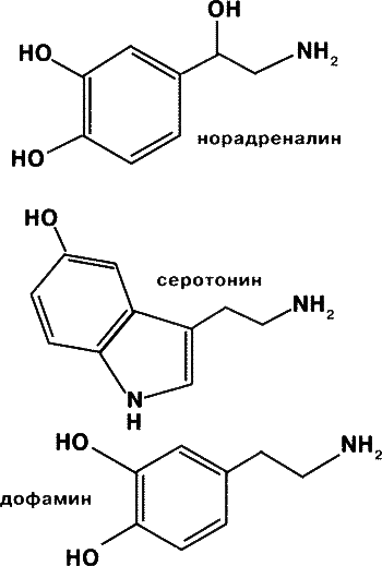 Биохимия и психология счастья