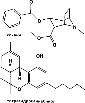 Биохимия и психология счастья