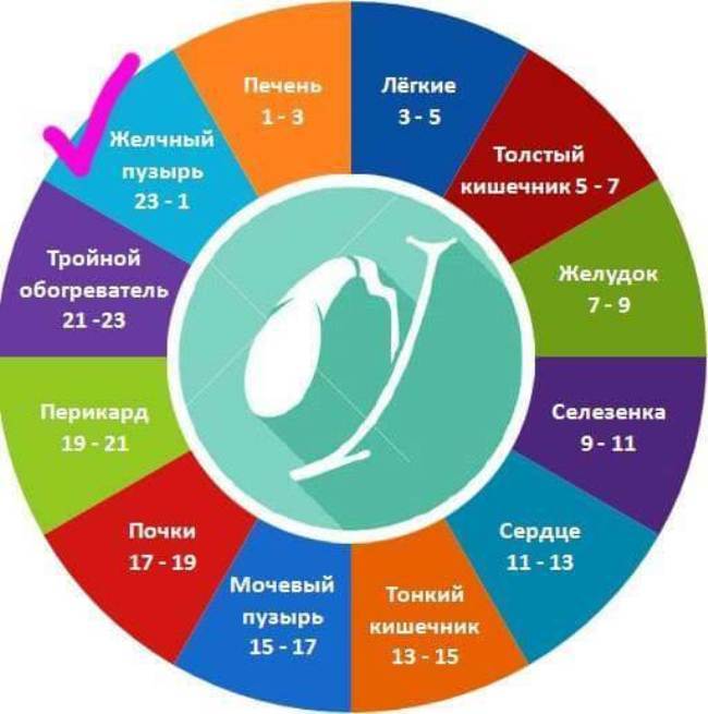 23.00-01.00 часы «Цзы-ши» — берегите желчный!