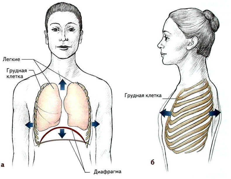 Упражнения, которые научат вас дышать правильно
