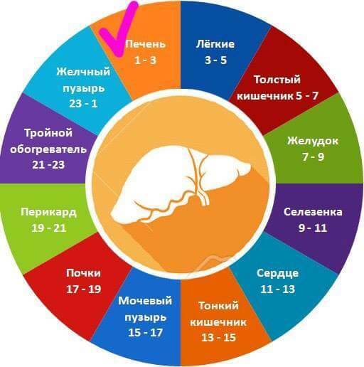 Как оздоровить вашу ПЕЧЕНЬ: 01.00-03.00 часы "Чоу-ши"