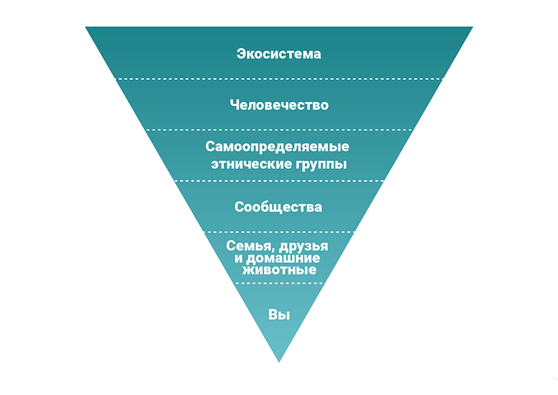 Нассим Талеб: Логика риска 