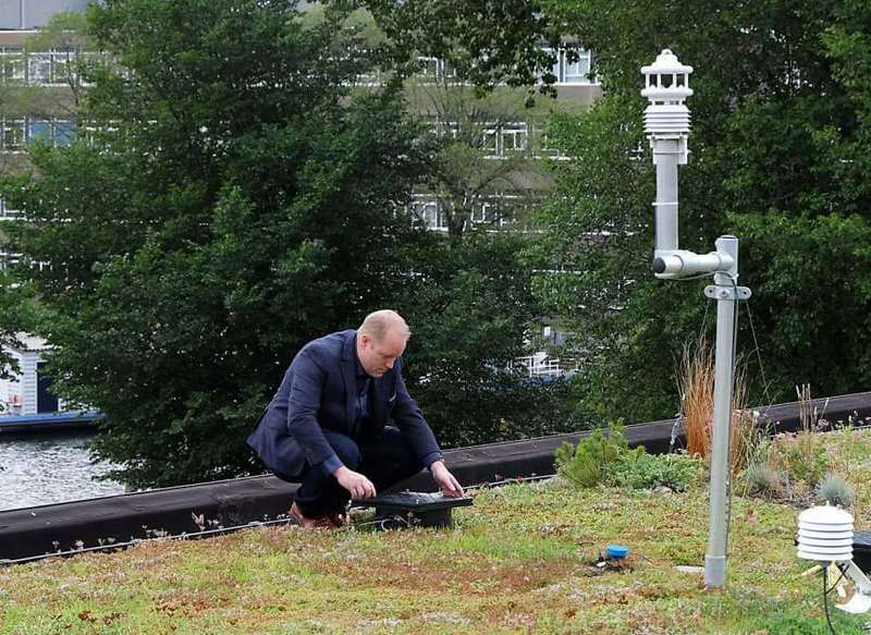 Голландский инженер предложил новый дизайн зеленой крыши