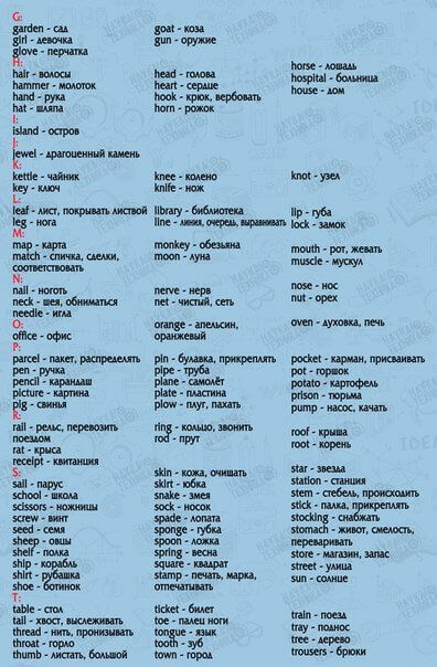 850 английских слов, выучив которые, вы сможете свободно общаться на этом языке