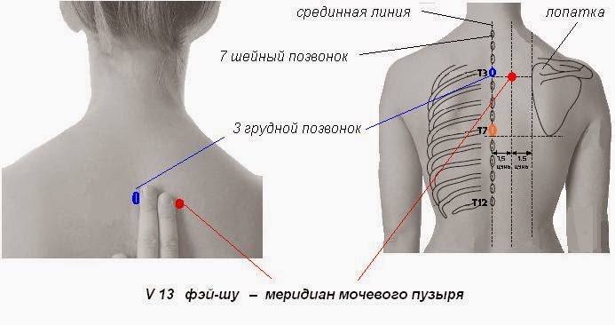 Целительные точки при гриппе и простуде