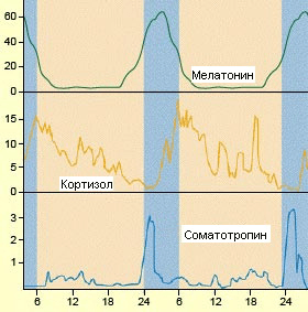 Чем отличается сон пожилых и больных от сна молодых и здоровых?