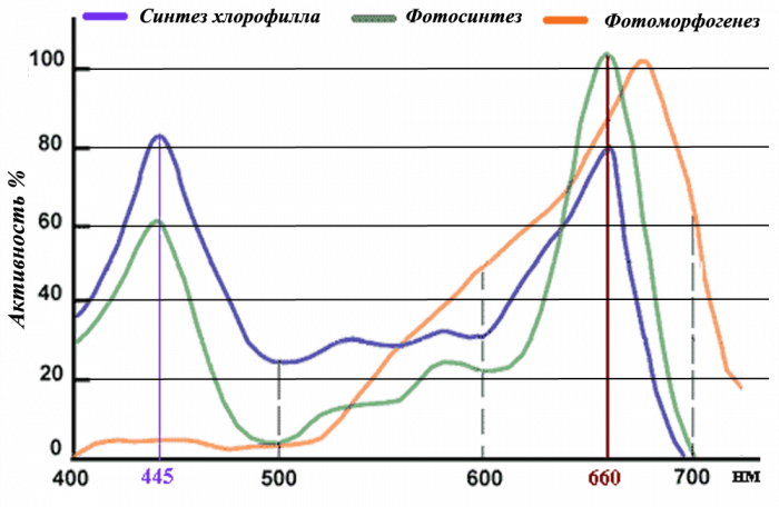 Фитолампы: лампы для комнатных растений и подсветки рассады