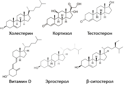 Холестериновая страшилка, которая правит миром